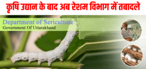 ब्रेकिंग न्यूज: कृषि-उद्यान के बाद अब रेशम विभाग में उप निदेशकों के स्थानान्तरण