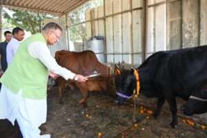 गोवर्धन पूजा के अवसर पर गौमाता का पूजन करते कैबिनेट मंत्री गणेश जोशी